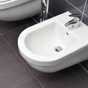Sanitaryware and Different Types of Sanitaryware